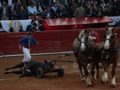 Tribunal revoca freno y da luz verde a las corridas de toros en la Plaza México