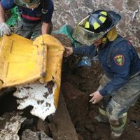 Mueren perros tras un deslave en un refugio canino en Xochimilco