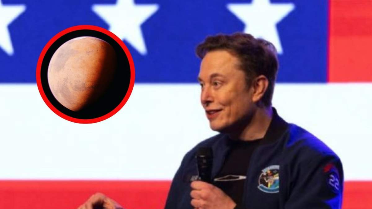 El plan de Musk para enfrentar la baja natalidad y poblar Marte incluye tener hijos con varias mujeres y usar vientres de alquiler.