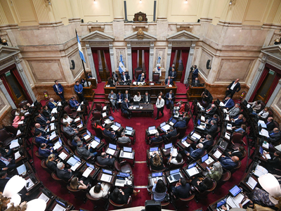 El Senado rechazó Ficha Limpia