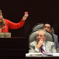 La oposición en San Lázaro reclama a Alcocer el 'austericidio” en materia de salud