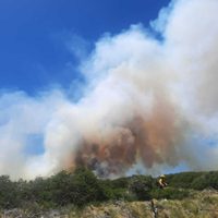 El incendio forestal en Ruca Choroi arrasó con 12 hectáreas