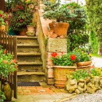 La planta que tenés que poner en la entrada de tu casa para atraer puras energías positivas