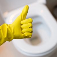 El truco facilísimo para eliminar las manchas amarillas de tu inodoro sin usar ni una sola gota de lavandina