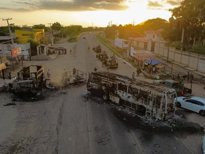 A Sinaloa le tomará entre 5 y 10 años recuperarse de la guerra entre Mayos y Chapitos: experta