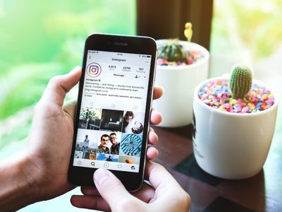 Descubrí por qué los cactus son un éxito en las redes sociales