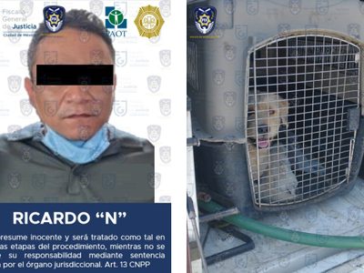 Ricardo mató a tres perros cachorros con un hacha en 2021; fue sentenciado a cuatro años de prisión