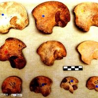 Mayas sacrificaban a niños y gemelos en Chichén Itzá, revela investigación de ADN
