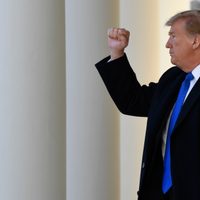 Trump cumple amenaza y declara 'emergencia nacional” para financiar el muro