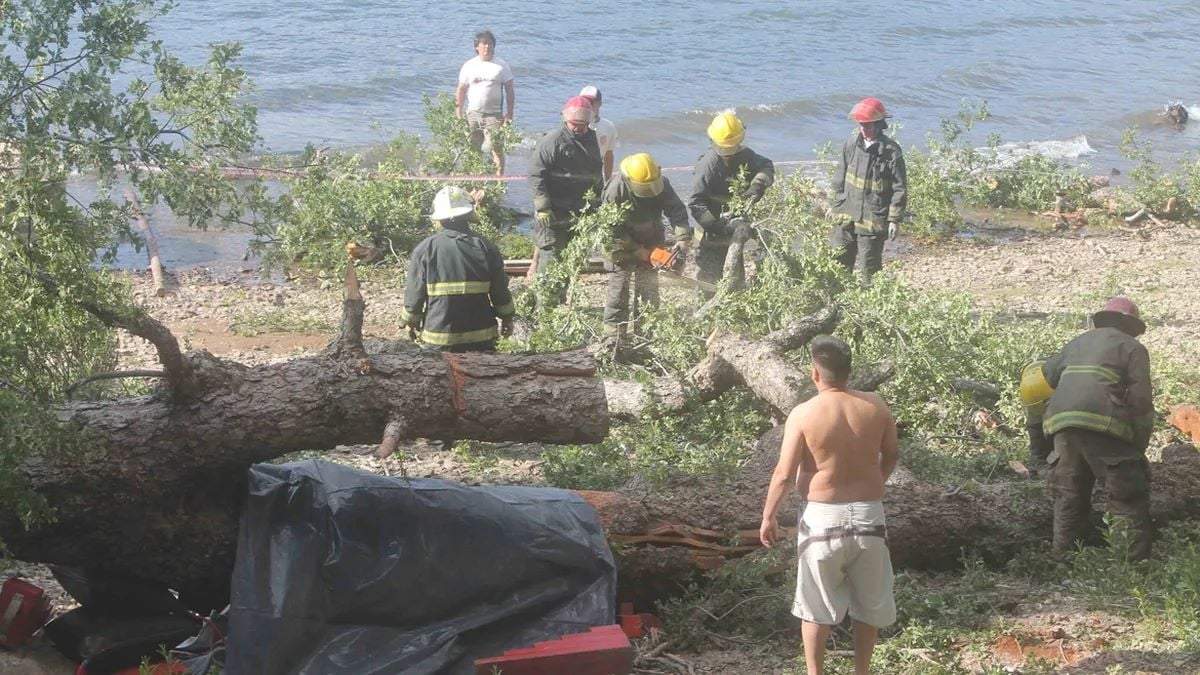 Lugar donde ocurrió la tragedia del Lolén. Fuente: (Facebook).