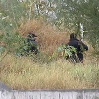 Una pareja reporta la desaparición de su hija, la hallan muerta y confiesan el crimen