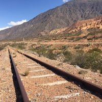 Tren transandino: la posibilidad de reconectar Chile y Argentina