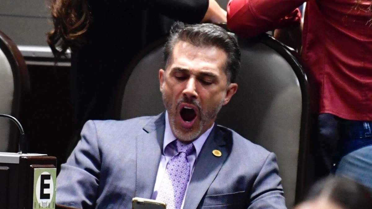 El presidente de la Comisión de Cultura, Sergio Mayer