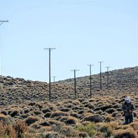 Licitan una obra para llevar energía eléctrica a parajes del interior de Neuquén