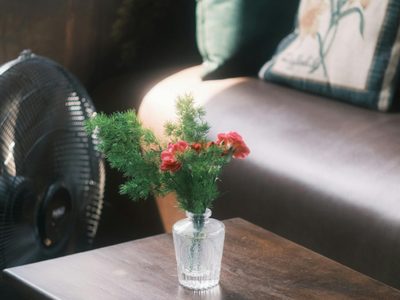 Decoración monocromática sin aburrimiento: 5 claves para que tus espacios luzcan sofisticados y con un guiño vintage de abuela