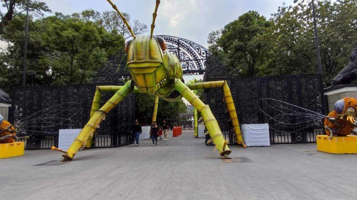 La actividad gratuita estará en la primera y segunda sección de Chapultepec