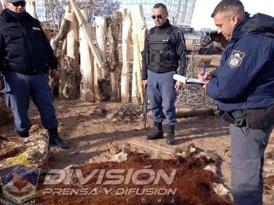 Grave denuncia por faena clandestina y mercado negro de carnes en Neuquén