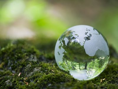Día de la Tierra: 10 cosas que podés hacer para ayudar a luchar contra el cambio climático