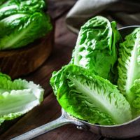 Seguro no te lo imaginabas: así podés preparar una pizza de lechuga que es riquísima y muy original