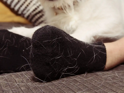 Con solo 1 cosa, el súper tip para eliminar los pelos de gato de tu ropa oscura