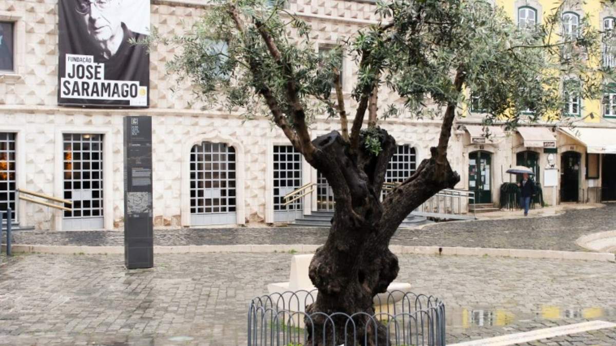 Crean un ruta turística dedicada a Saramago. Fuente: (Instagram)