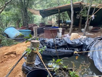 DEA revela que tres cárteles del narcotráfico operan en Hidalgo