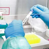 Cuál es la situación epidemiológica en Río Negro