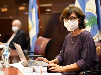Revuelo en las redes tras la respuesta de Silvia Sapag a Martín Lousteau