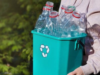 Así de fácil podés germinar las semillas de la pera, con esa botella plástica que ibas a tirar