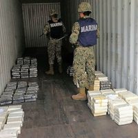 Autoridades federales aseguran más cocaína, ahora en el puerto de Veracruz