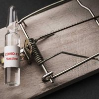 Coronavirus: de qué modo funcionan las estafas vinculadas a la vacunación