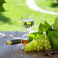 El mejor vino blanco del mundo es español