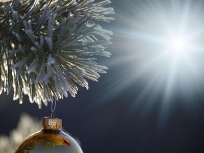 Milagro navideño: un joven violinista elogiado por Alberto Fernández conmovió con su historia