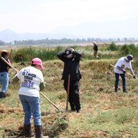 Localizan 317 restos óseos en límites de Tláhuac y Chalco