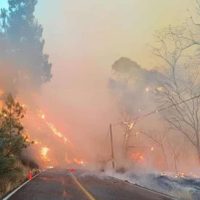 Aplican Plan DN-III por incendios en Tejupilco que han afectado 500 hectáreas en tres días