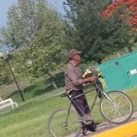 Hallan sin vida a Aniceto, el abuelito que le llevaba flores a la tumba de su esposa