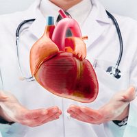Día del Cardiólogo: por qué este 9 de abril se homenajea a una de las ramas más importantes de la medicina argentina
