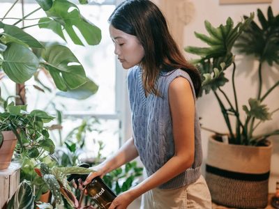 Así podés cuidar tus plantas si tenés un viaje urgente: 2 ingredientes que guardas en la cocina