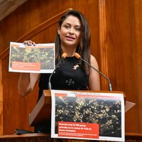 Legislatura mexiquense exige frenar “ecocidio” cometido por particulares en Valle de Bravo