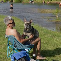 Clima en Neuquén: seguirá el calor con un poco de viento por la tarde