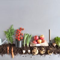 Compostaje: conocé la tendencia que no puede faltar en un hogar eco friendly