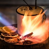 ¿Coctelería sustentable? Se puede beber y cuidar el medioambiente