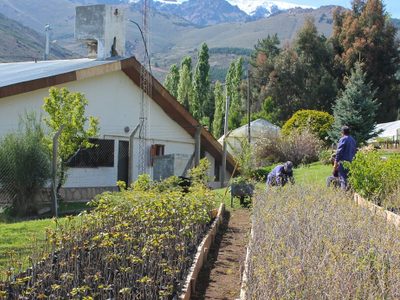 En cuarentena, los viveros provinciales venden sus productos por catálogo
