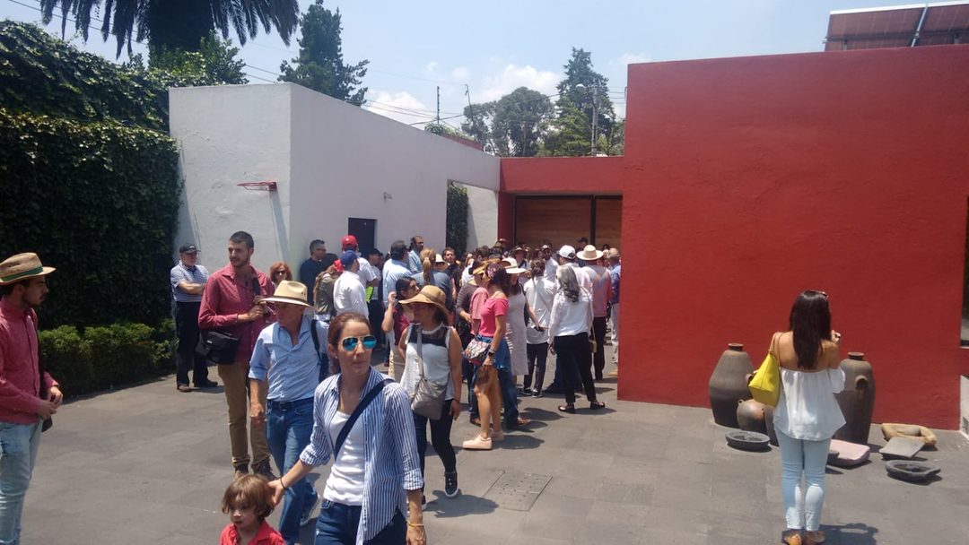 Recorrido de Habitar en la lava. Foto Cortesía Observatorio Ciudadano Jardines del Pedregal AC
