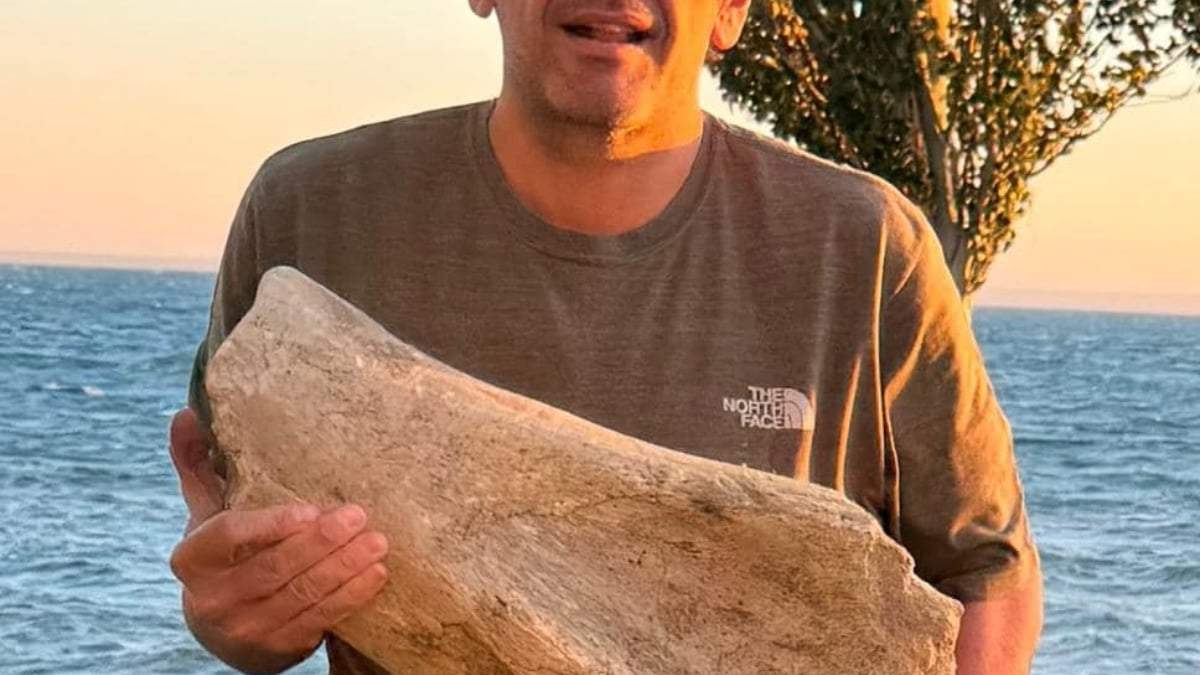 El diputado nacional Pablo Cervi con los supuestos restos hallados
