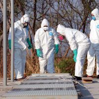 Familiares exigen ser reconocidos para coadyuvar en investigaciones por caso Tetelcingo