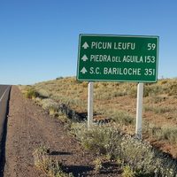 En plena cuarentena: organizaron una fiesta en Picún Leufú. ¡Enterate qué pasó!