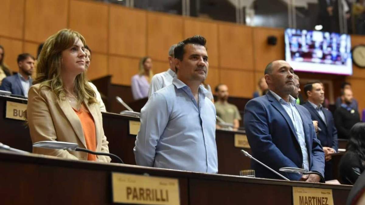 Legisladores de Unión por la Patria. Fuente: (UxP).
