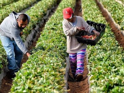 Buscan incentivar con beneficios impositivos a productores agroecológicos en Plottier
