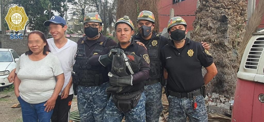 brigada